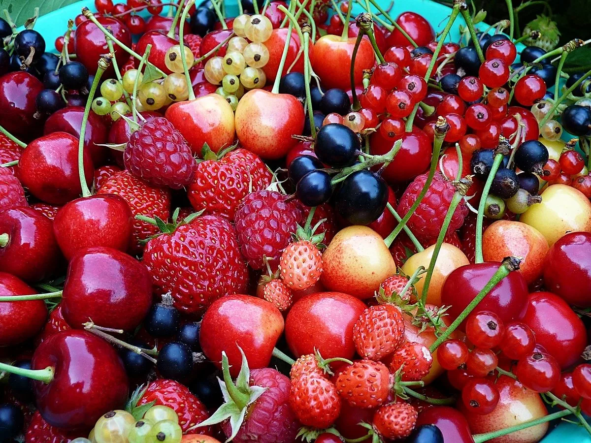 Урожай ягод (малина, клубника, вишня, крыжовник, смородина). Черешня клубника малина. Лето ягоды. Летние фрукты.
