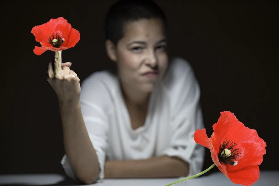 Коллаж из фото: pixabay.com, pngarts.com