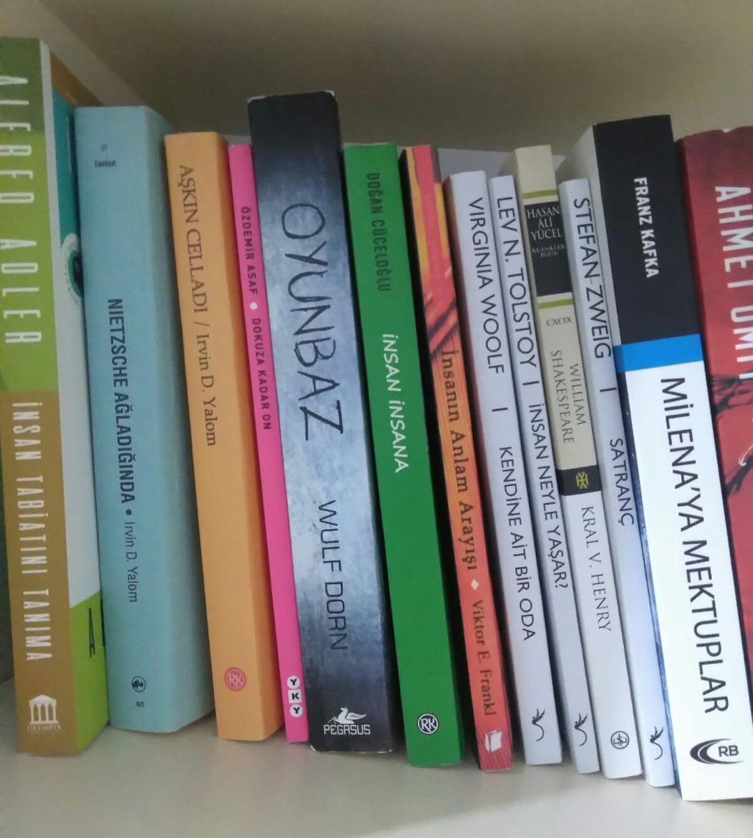 Фотографии взяты из открытого источника Яндекса