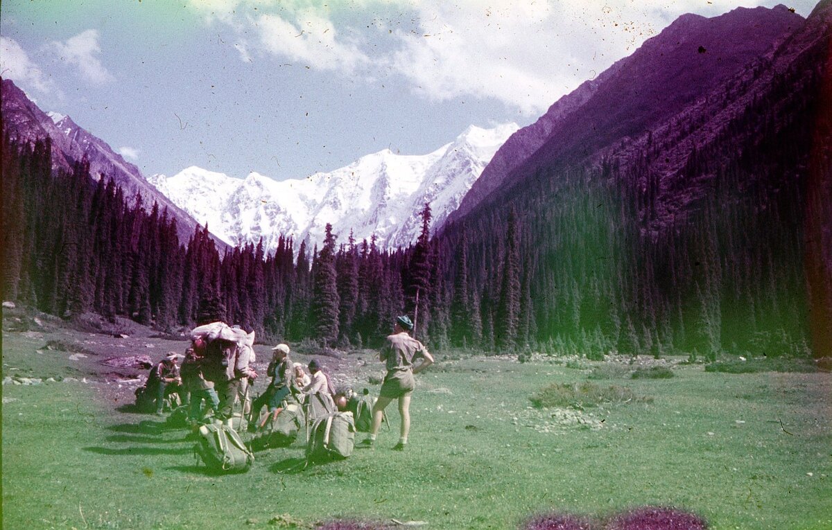 1982. В горах Киргизии. Вдали  снежный хребет Терскей-Алатоо.