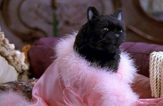 Яндекс.картинки