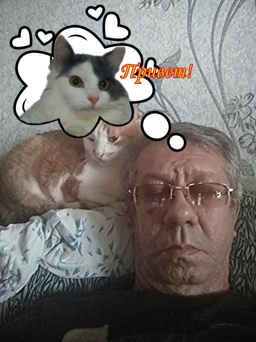 1. Привет,- сказал Тимоха.