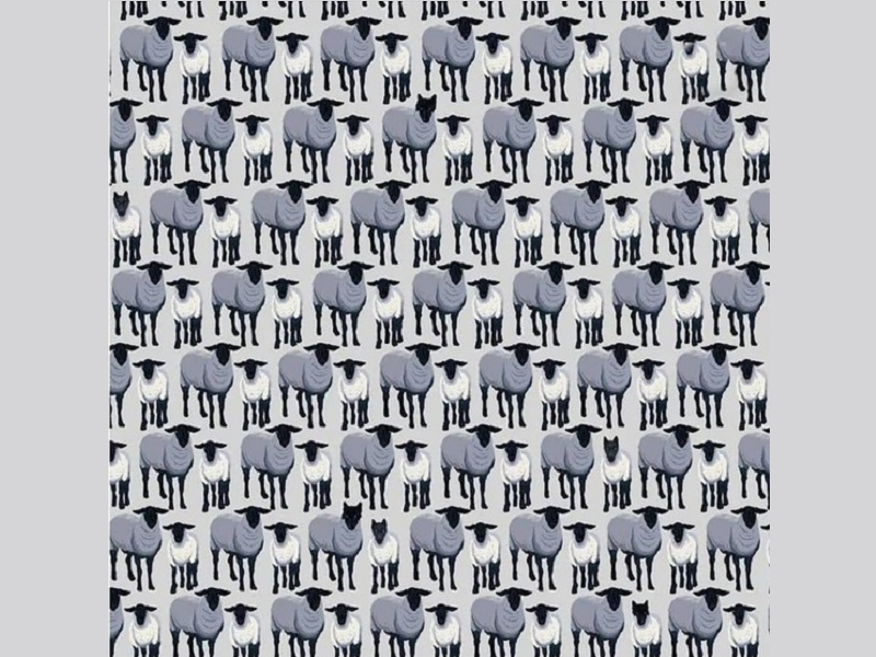 Найдите всех волков среди овец!