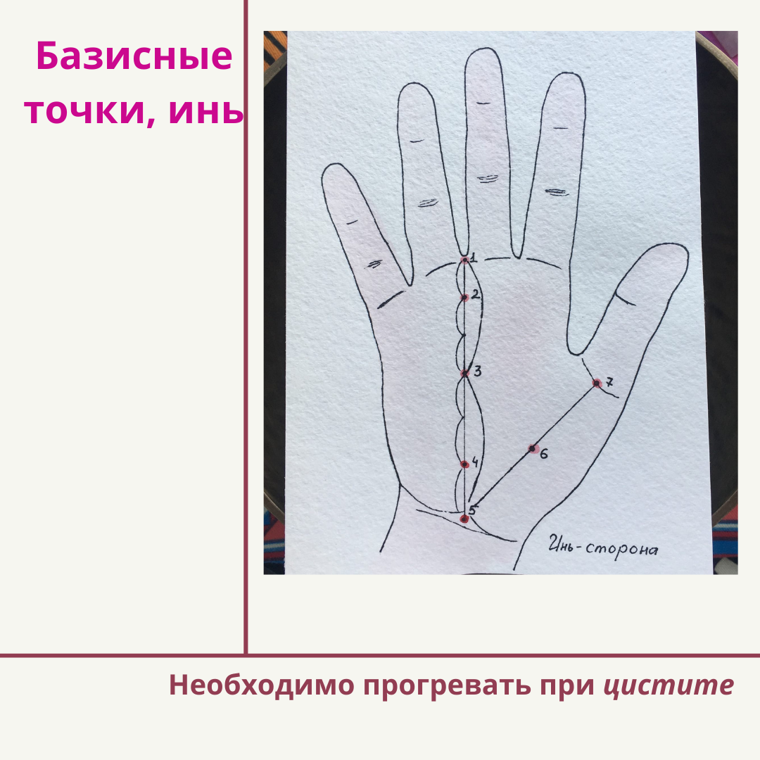 Базисные точки инь, су джок