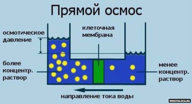 Давление в системе осмоса