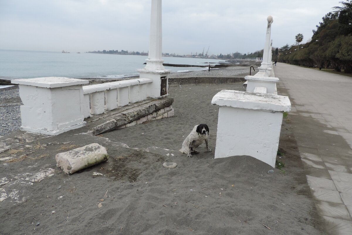 Набережная в Сухуми