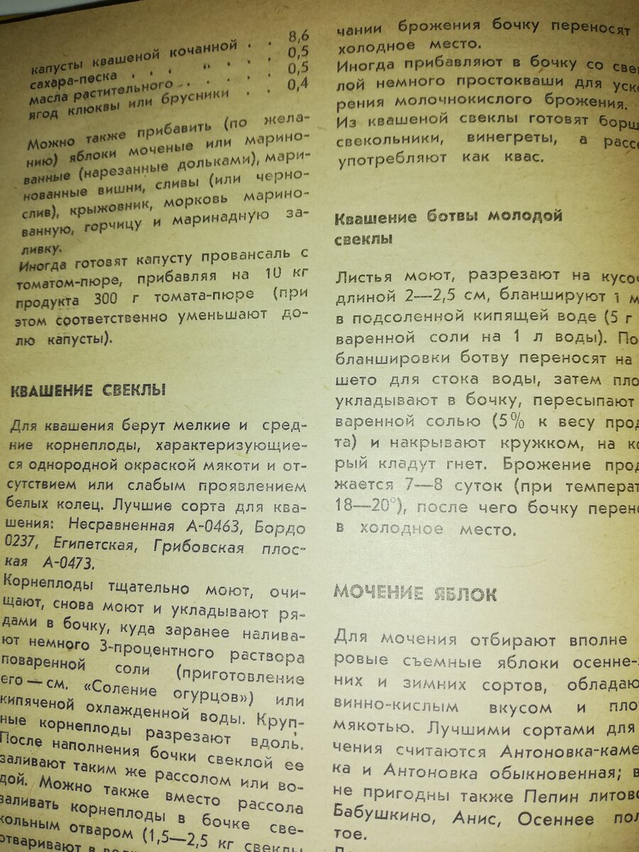 Квашеная свекла, квашеная ботва: как делали заготовки на зиму наши бабушки.  Рецепты из старой книги | Белорусские сотки | Дзен