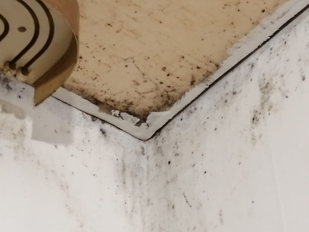 плесень и грибок на стенах и потолке могут появиться по ряду таких причин, как плохпя вентиляция или повышенная влажность