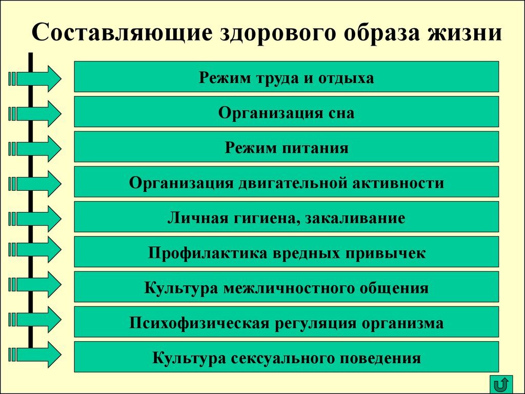 Составляющие здорового образа жизни индивидуальный проект