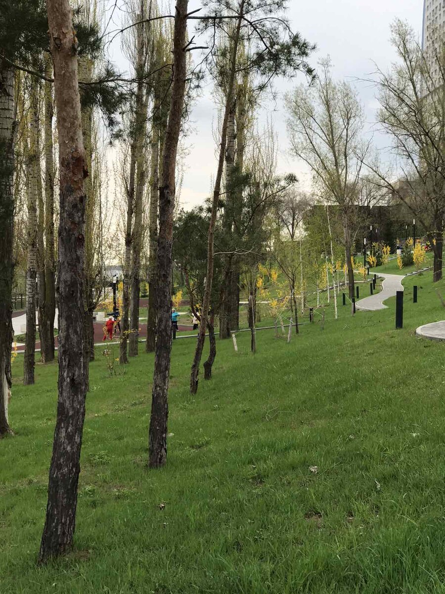 Место, где можно погулять, успокоиться, подумать.  Личное фото.