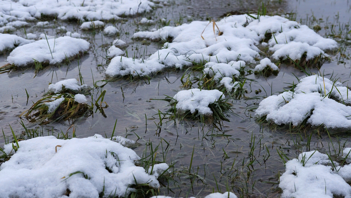 Весна 2021! Фото из открытых источников Яндекс, но у нас тут вот так