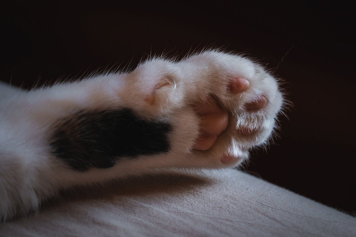 Сделай мне чух ))