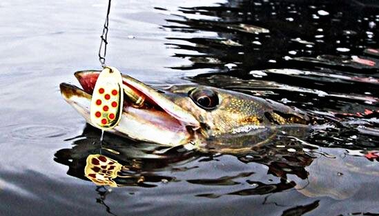 щука на вертушку 3го размера