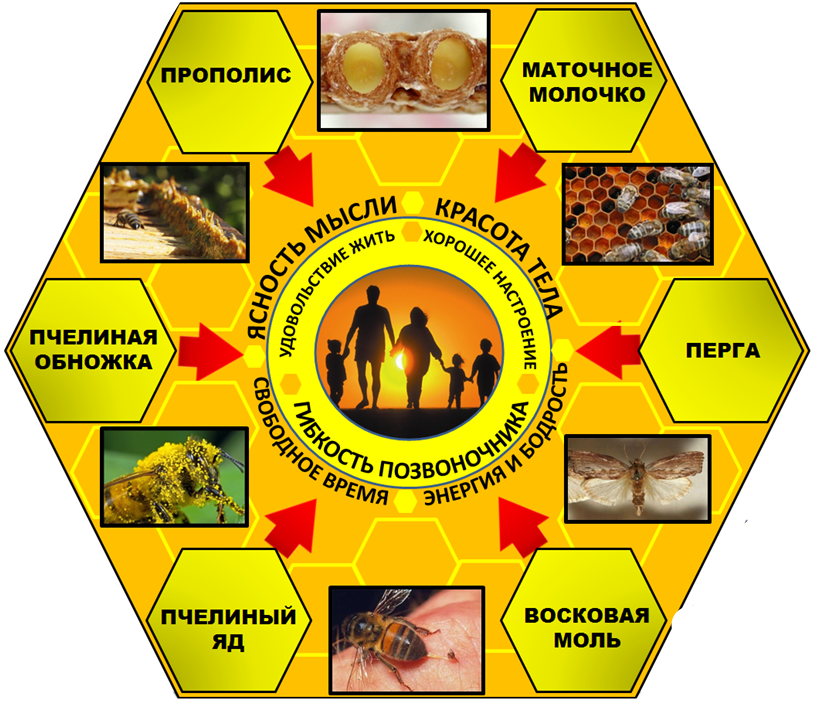 Схема продукты пчеловодства