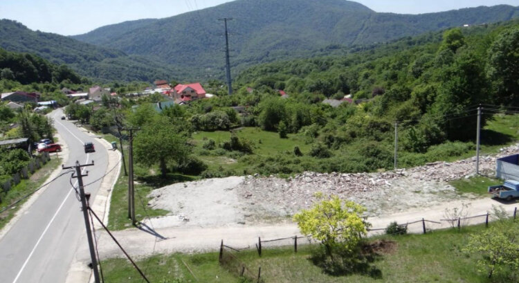 Фото: интернет Красная воля 