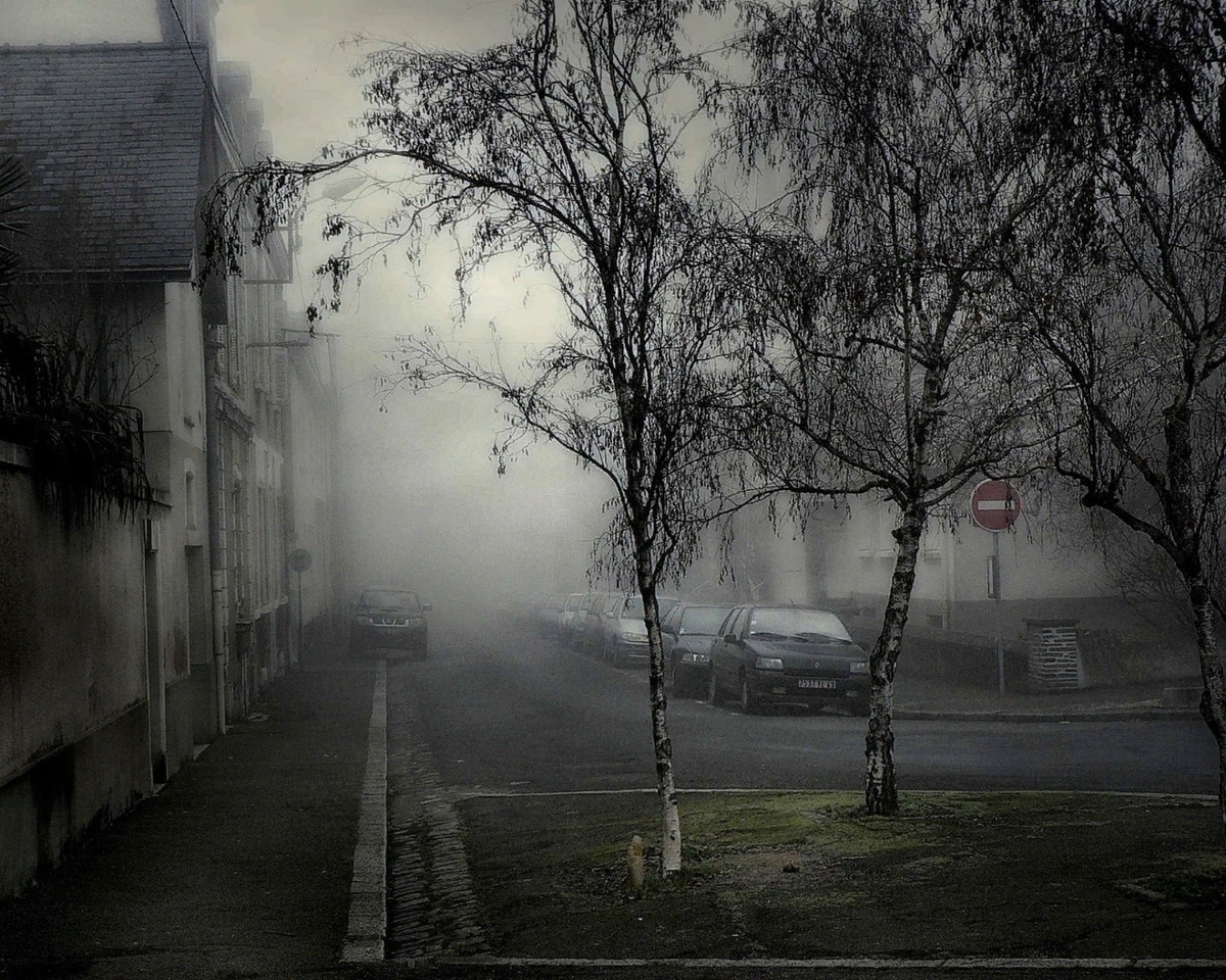 Фото взято с открытых источников.