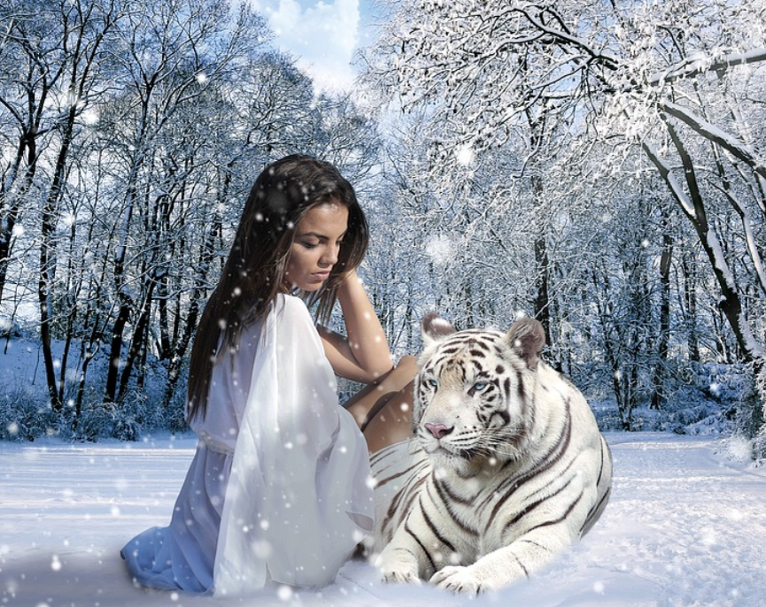 Foto by Pixabay 