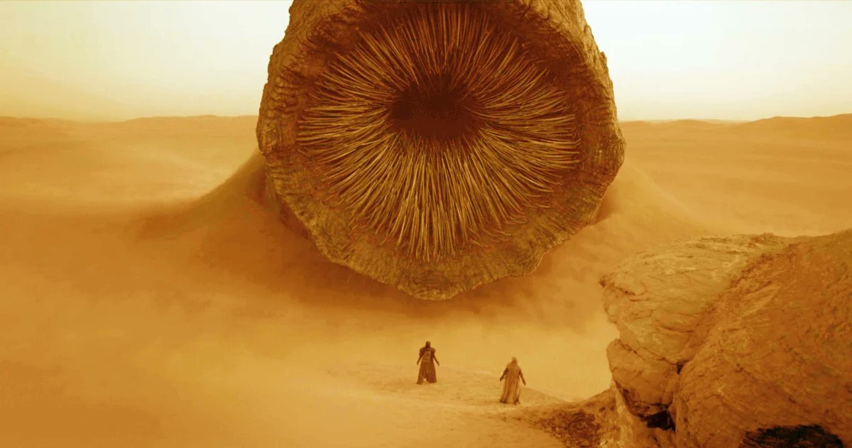 Песчаные черви Дюны