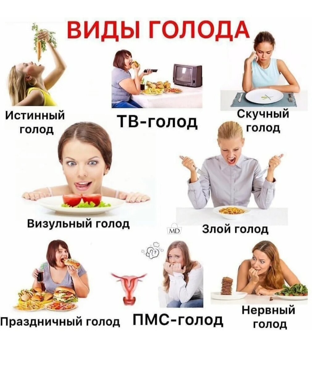 Типы психологического голода