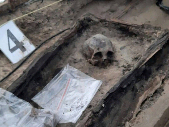 автор фото: Николай Макаров