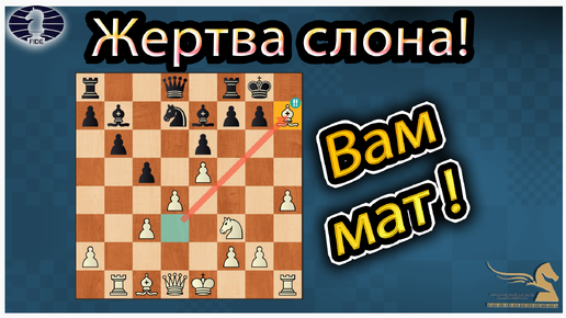 Показываю как правильно жертвовать на h7 слона и ставить мат королю. Шахматы