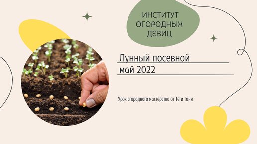 Лунно посевной календарь май 2024 года садовода