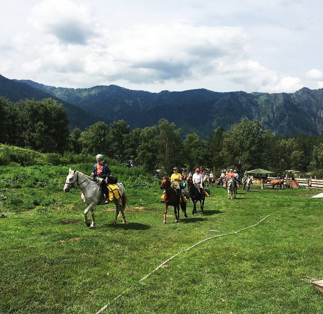 ОТДЫХ в ГОРНОМ АЛТАЕ. КОННЫЕ ПРОГУЛКИ по ГОРНОМУ АЛТАЮ.