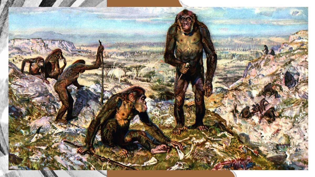 первобытные люди - добывали пищу днём