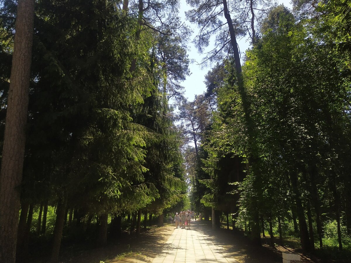 сестрик