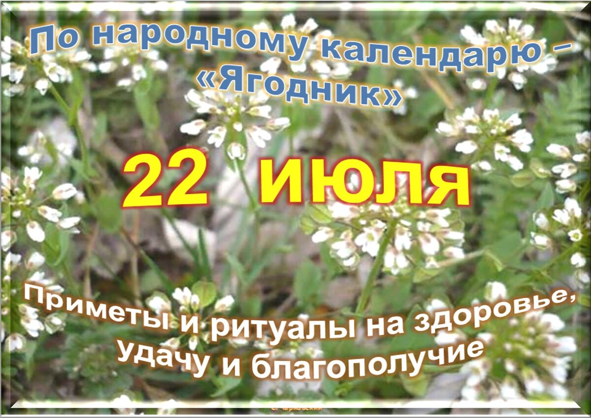 23 июля дата