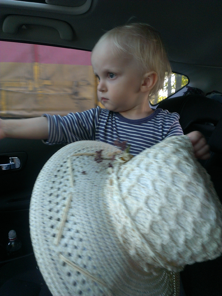 Фото автора статьи