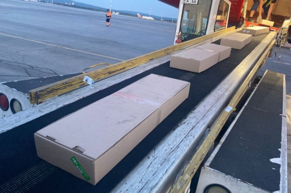    К 1 сентября в Екатеринбург из Армении прибыли 230 тонн цветов