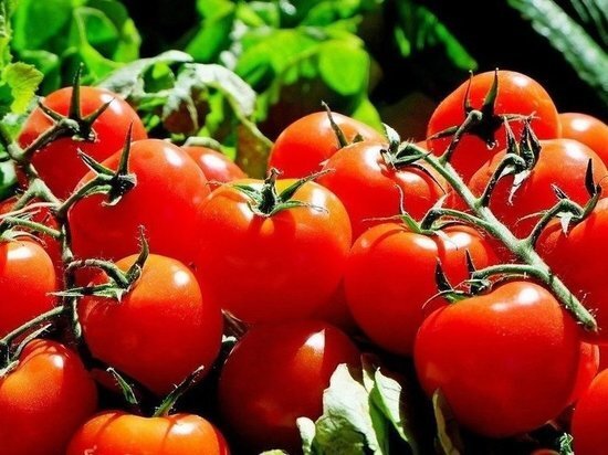     Специалисты утверждают, что есть помидоры можно не всем