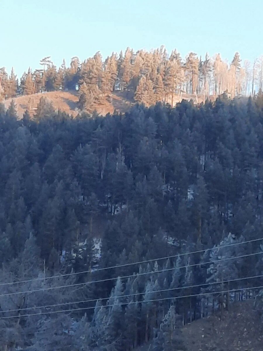 Фото автора.
