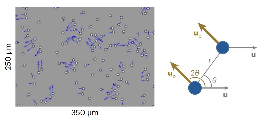   Tsvi Tlusty et al. / Nature Physics 2023