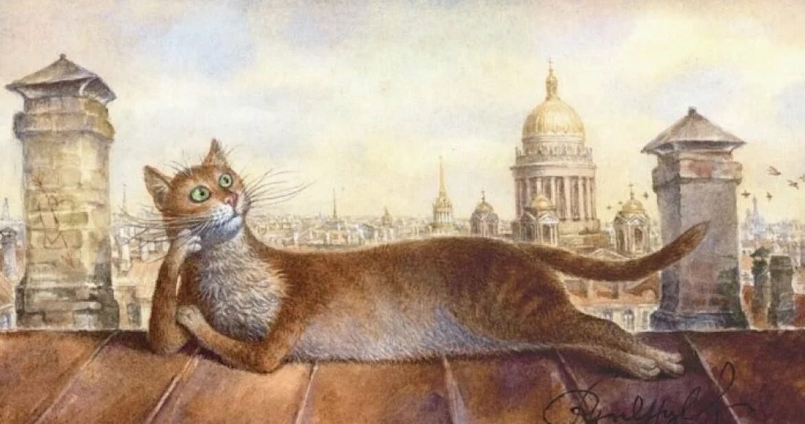 Питерские коты Румянцева 