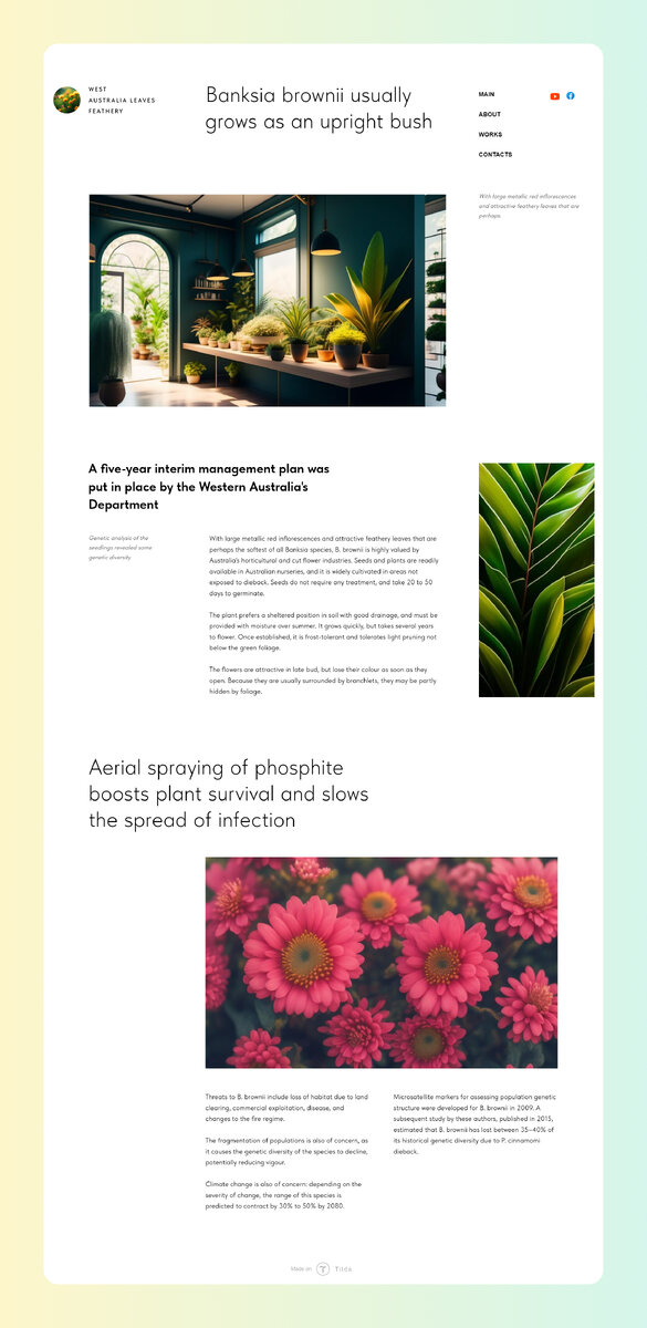 Страничка со стильной версткой по виндоу-контейнеру. Впервые такое сделала!