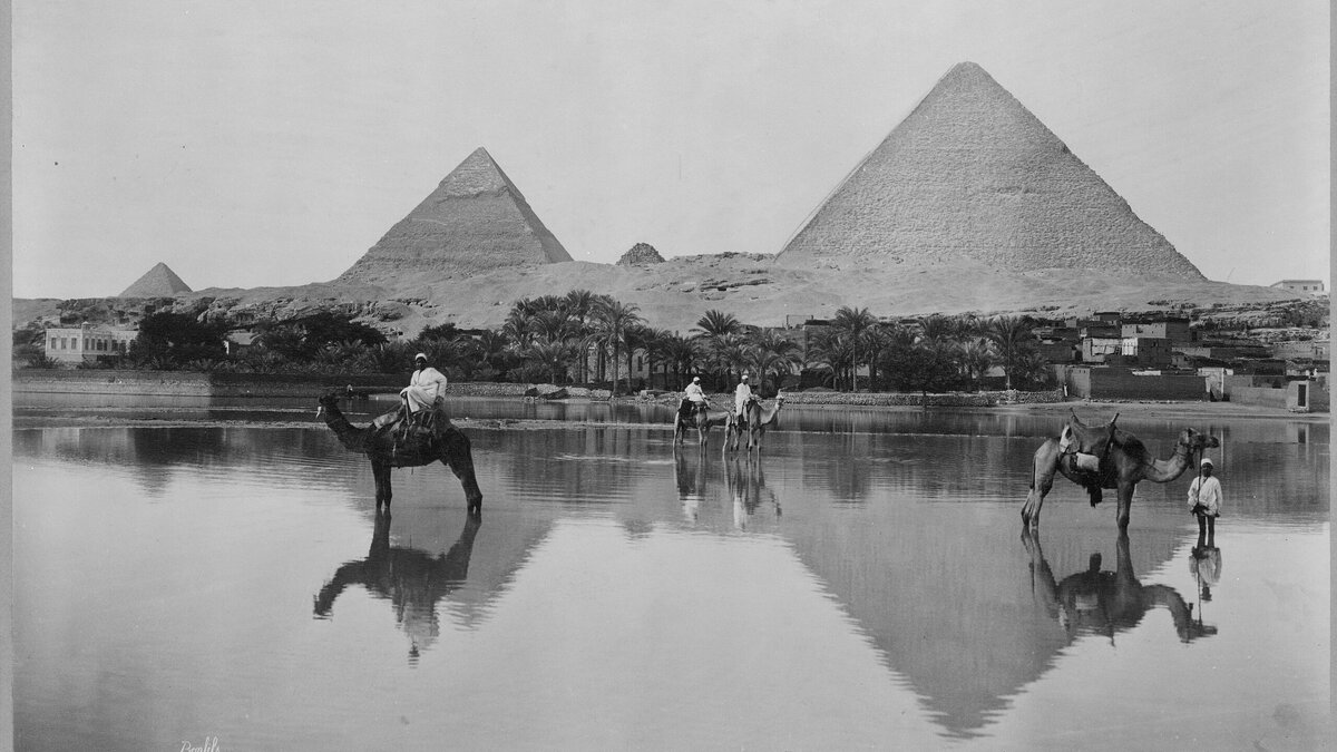     В России прошел коронавирус, но начали регистрировать случаи заболевания корью, холерой и лихорадкой Западного Нила. Почему снова появились болезни, которые казались забытыми, выясняли «Новые известия».