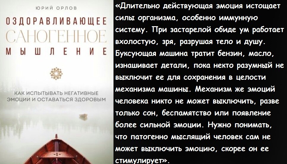 О своей системе Юрий Орлов написал книгу. 
