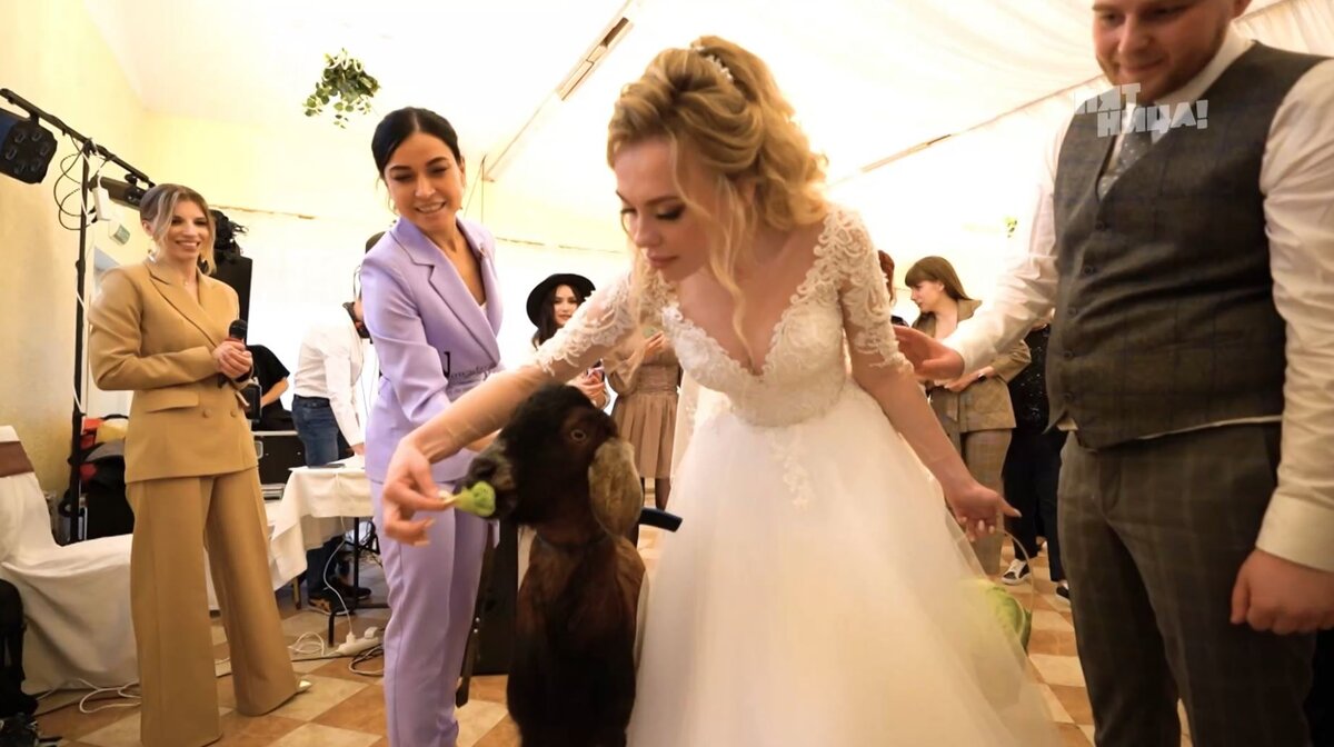 Одна из участниц шоу подарила жениху и невесте живую козу