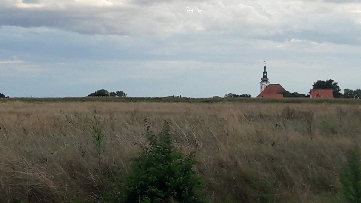 Вот издалека вид на тот костел, который я уже не раз фотографировала. Вокруг поля пшеницы и кукурузы. Ничего необычного.