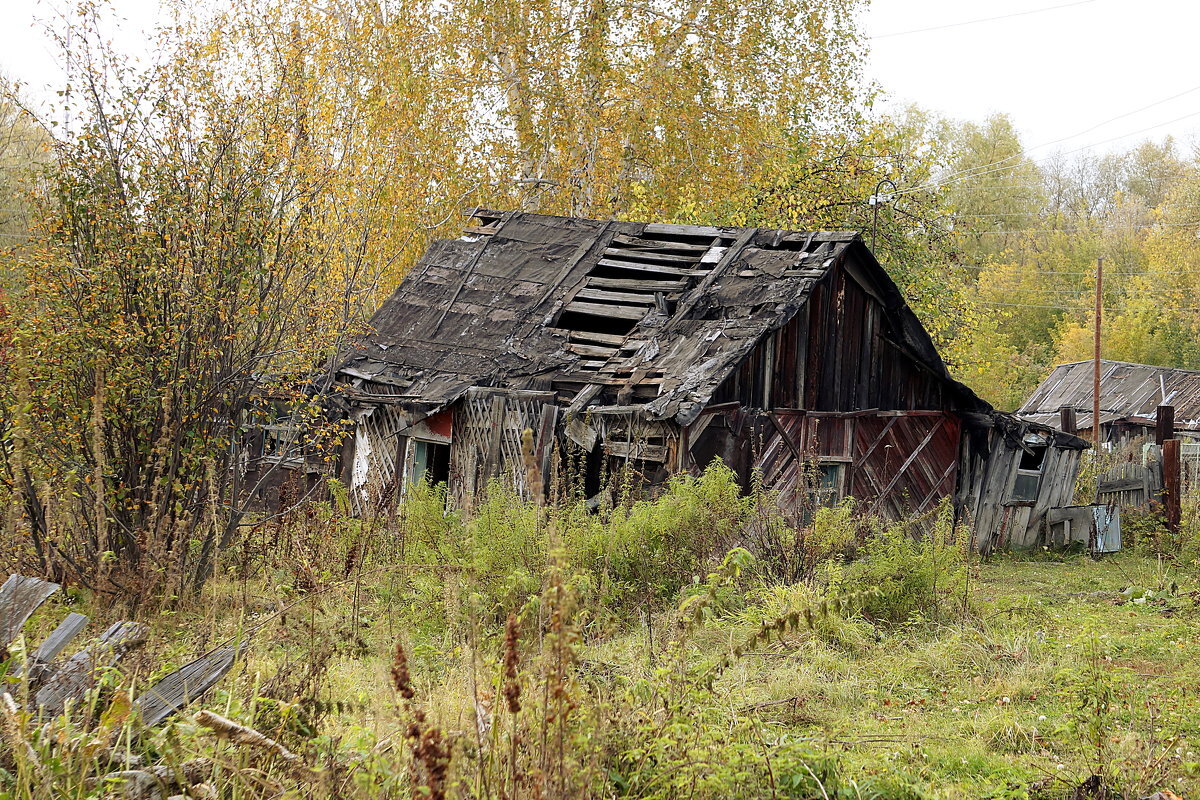 Примерно вот такой. В иллюстративных целях. Взято из открытых источников