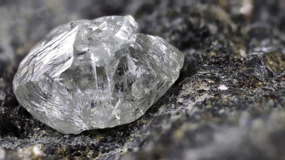    Фото: Shutterstock