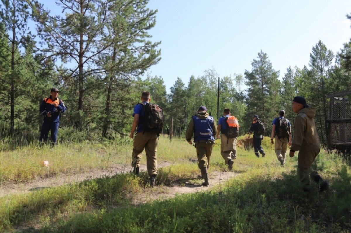    В Якутии пожилая женщина ушла собираться ягоды и не вернулась