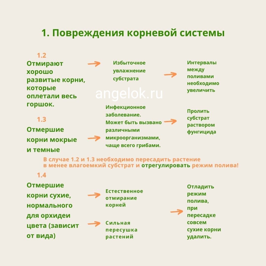 Листай - там продолжение! 

