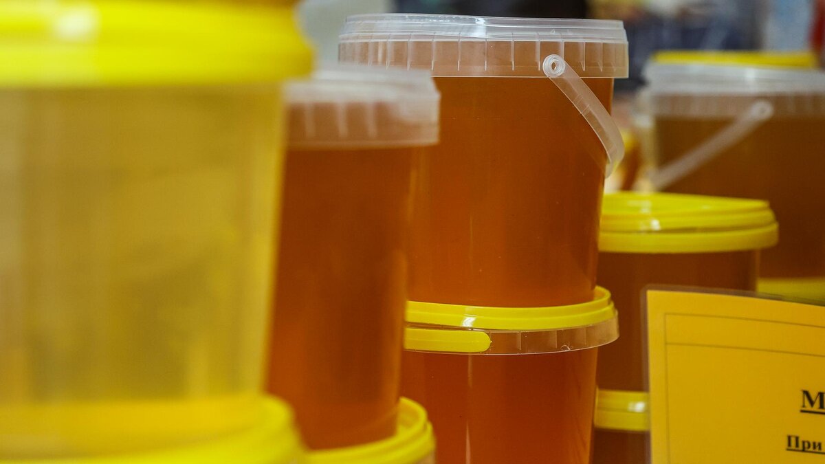    Фото: Булкин Сергей/globallookpress.com