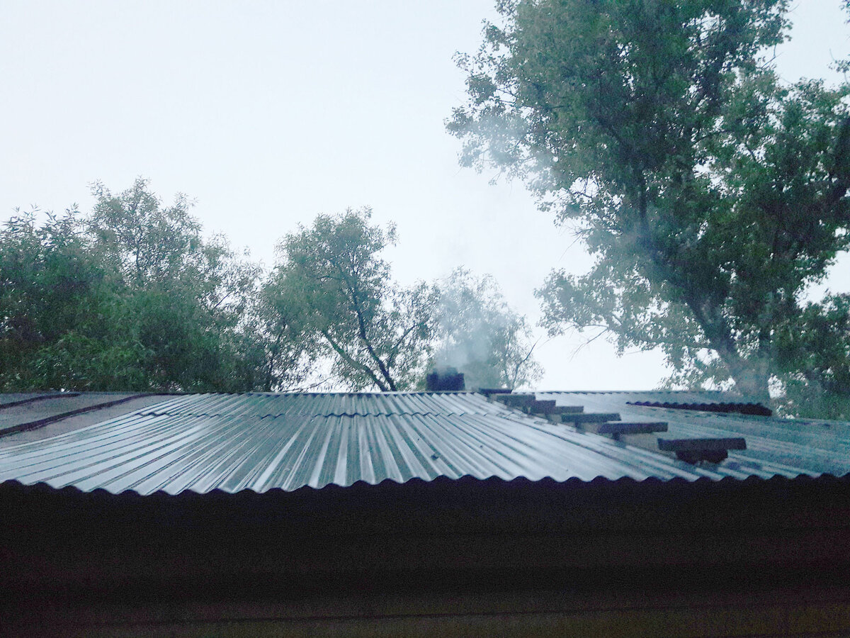 До падения дерева