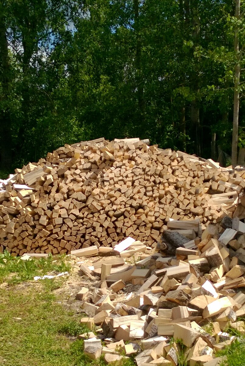 Авторское фото/Заготовка дров