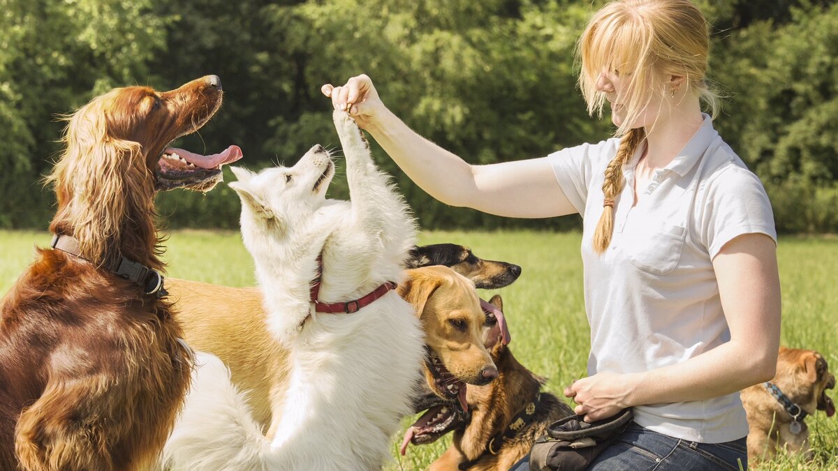 Установите правильные отношения.