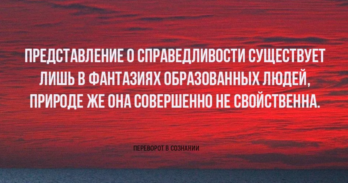 Справедливость будут ли отношения. Афоризмы про справедливость. Цитаты про справедливость жизни. Цитаты про несправедливость. Нет в жизни справедливости цитаты.